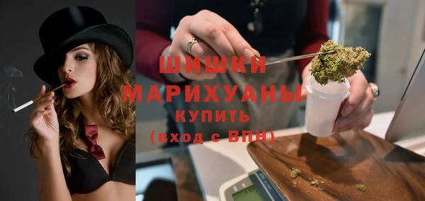 гашик Покровск