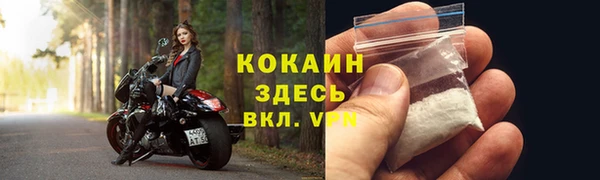 гашик Покровск