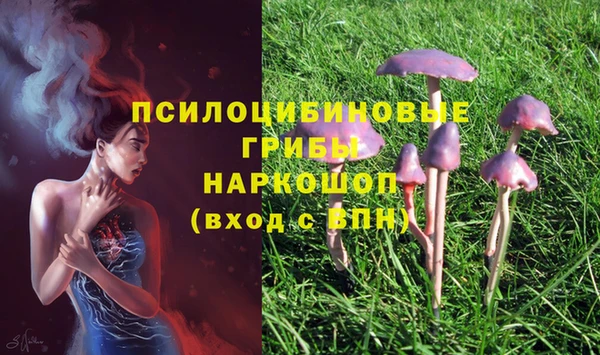 mdpv Покачи